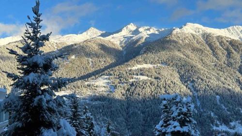 a snow covered mountain range with a tree in the foreground at Panorama Marilleva 1400 - Val di Sole in Marilleva