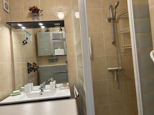 une salle de bain avec un lavabo et une douche avec un miroir dans l'établissement T2 Vue mer Centre Bandol, à Bandol