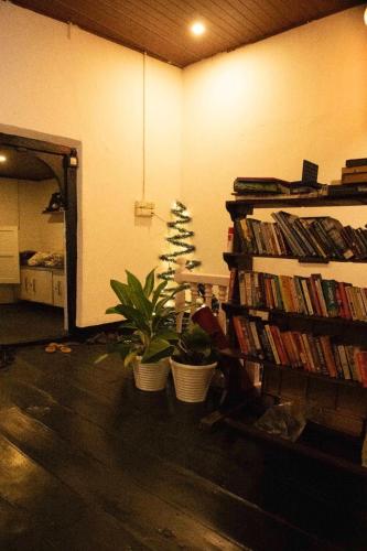 a room with a christmas tree and a book shelf with books at Bunk house Fort Kochi in Cochin