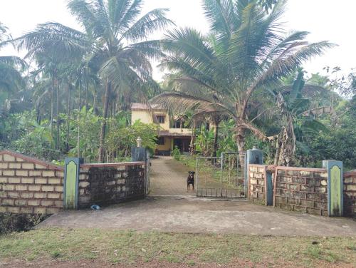 Taman di luar Kogre Homestay