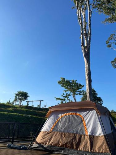 Φωτογραφία από το άλμπουμ του theBukit, Langkawi σε Kuah
