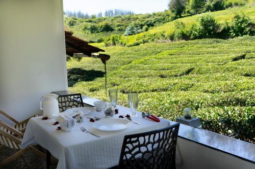 a white table with a view of a vineyard at Green Leaves The Countryside Inn in Ooty