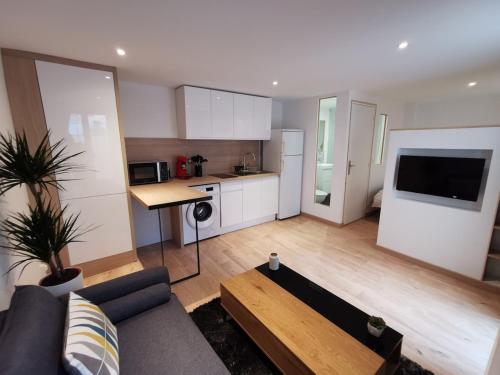 Il comprend un grand salon avec un canapé et une cuisine. dans l'établissement 9 Charmant Studio proche gare et centre, à Valence