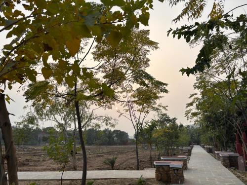 a row of benches in front of a field at Neem Sarai Sariska in Tehla
