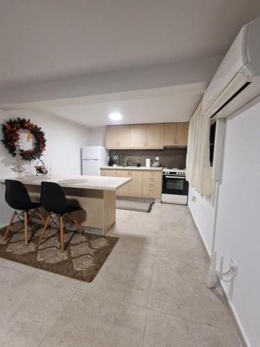 a large kitchen with a table and two chairs at ΔΙΑΜΕΡΙΣΜΑ 45τμ ΕΛΕΟΥΣΑ ΙΩΑΝΝΙΝΑ in Eleoúsa
