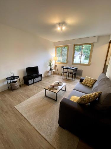 un salon avec un canapé et une table dans l'établissement Le Saint-Maimboeuf-Au calme dans une résidence privée-Parking gratuit, à Montbéliard