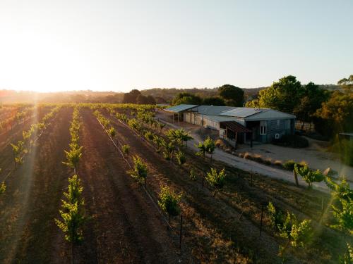 an aerial view of a farm with a field and a building at Bed in a Shed Vineyard Stay in Watervale