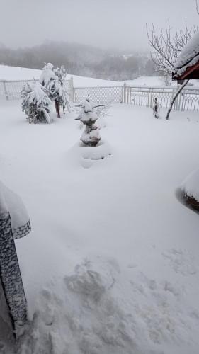 a yard covered in snow with a fire hydrant at Vila Zvezdane večeri in Rudnik Kačerski
