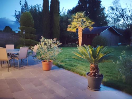 une terrasse avec deux palmiers et une table dans l'établissement Évasion, à Ambillou