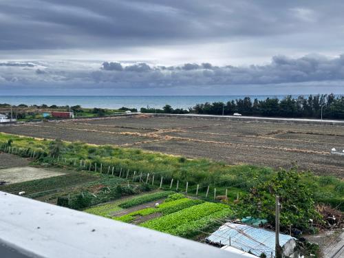 a field of crops with the ocean in the background at Guoxiang B&B in Taitung City