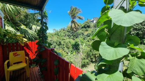 a view of the jungle from a house at Villa Hélèna Chalets in Sainte-Marie