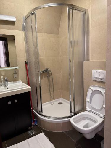 a bathroom with a shower and a toilet and a sink at Mecava Lux Kopaonik in Kopaonik