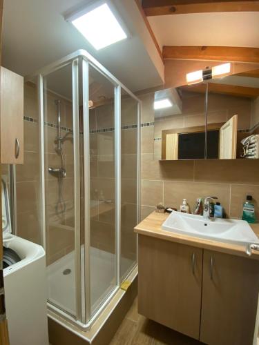 une salle de bain avec douche et lavabo dans l'établissement Maison de village, à Yvoire