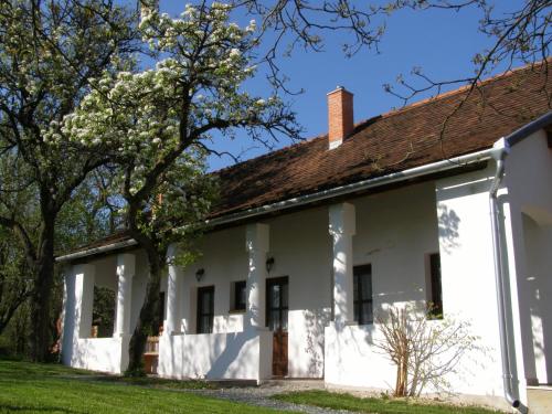 an old white house with trees in the foreground at Őrségi Tornácos Vendégfogadó in Felsőszenterzsébet