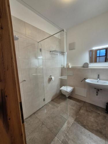 a bathroom with a shower and a toilet and a sink at Riedhof-Zuahaus in Breitenbach am Inn