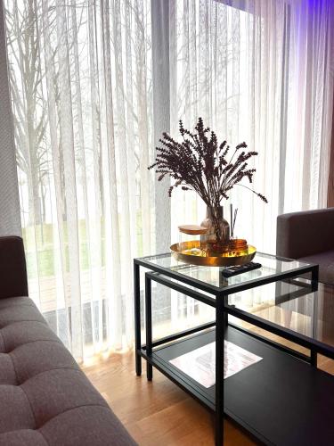 a living room with a glass table and a window at Lake House in Telšiai