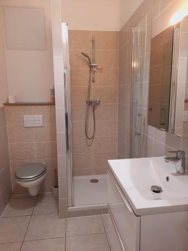 une salle de bain avec une douche, des toilettes et un lavabo dans l'établissement Grand studio au calme - Dijon centre, à Dijon