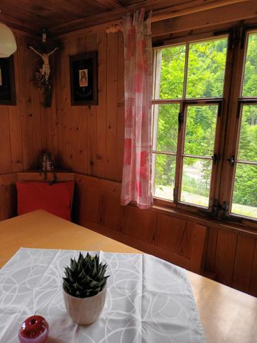 a room with a table with a potted plant on it at Ferienhütte See 4 in Seeberg
