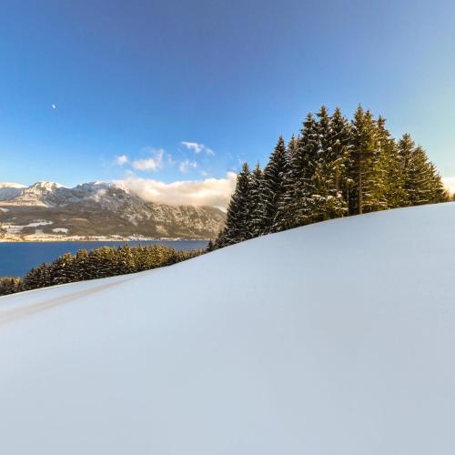 a snowy hill with trees and mountains in the background at Ferienhof Margarethengut in Unterach am Attersee