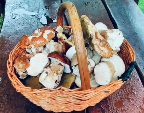 a basket filled with mushrooms on a table at Do pohody - Do přírody in Stoječín