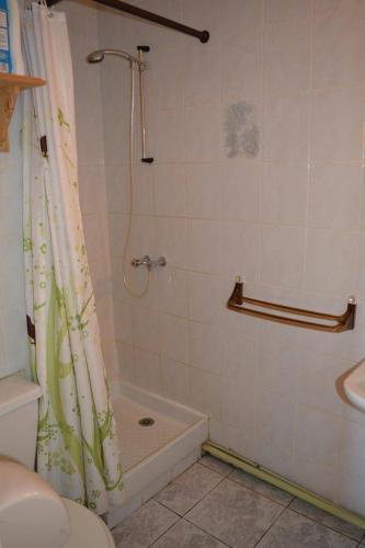 une salle de bain avec une douche, des toilettes et un lavabo dans l'établissement Appartement 2 pièces 4 couchages ST CYPRIEN PLAGE SC510-85F, à Saint Cyprien Plage