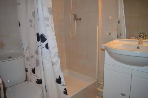 une salle de bain avec toilettes, lavabo et douche dans l'établissement Maison 2 pièces mezzanine 6 couchages ST CYPRIEN PLAGE SC410-62C, à Saint Cyprien Plage