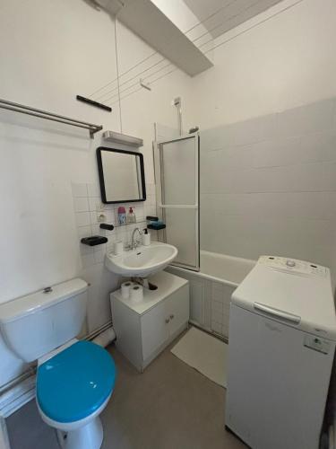 une salle de bain blanche avec un lavabo et des toilettes dans l'établissement Studio proche de la gare SNCF, à Clermont-Ferrand