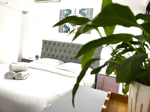 a bedroom with a white bed and a plant at Tirana Square Hotel in Tirana