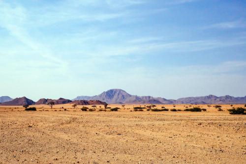 a desert scene with mountains in the background at Neuhof Portion 2 Campsite in Sesriem