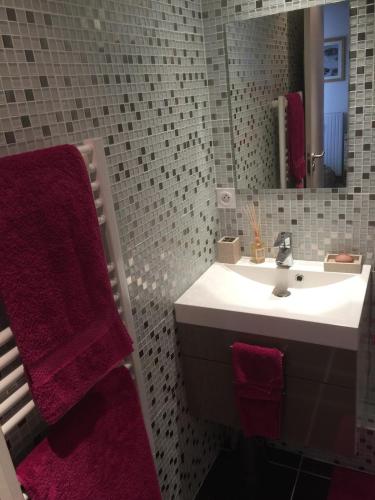 une salle de bain avec un lavabo et un miroir dans l'établissement Fantastic appart ski aux pieds, à L'Alpe-d'Huez