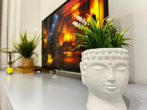 a white head vase with a plant in front of a tv at Tirana Square Hotel in Tirana