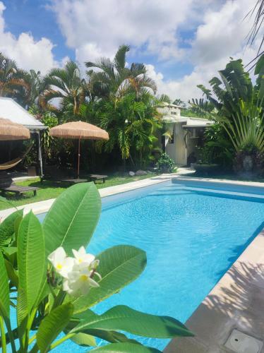 a swimming pool in a yard with palm trees at Gites Kaladja in Port-Louis