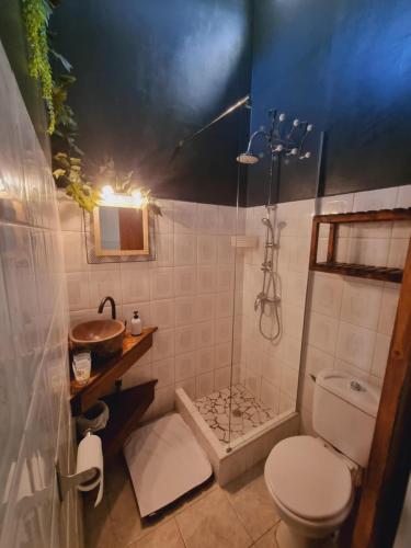 a bathroom with a shower and a toilet and a sink at Gites Kaladja in Port-Louis