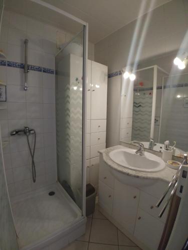 une salle de bain avec douche et lavabo dans l'établissement Apartment - nice view and quiet, à Montpellier