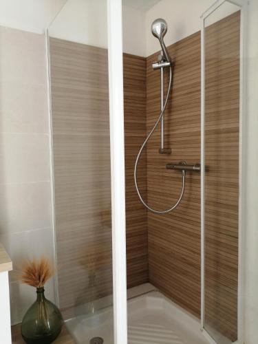 une douche avec pommeau de douche dans une salle de bain dans l'établissement Jolie maison de village, à Nissan-lez-Enserune