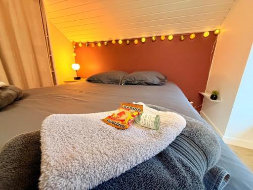 a bed with a blanket and a towel on it at Apartment 6 prsn avec Terrasse Proche Centre-ville in Besançon