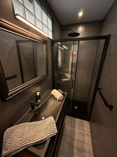 une salle de bain avec un lavabo et une douche dans l'établissement Nice Excepetional view, à Nice