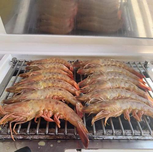 Grillfaciliteterne på båden som gæsterne kan bruge