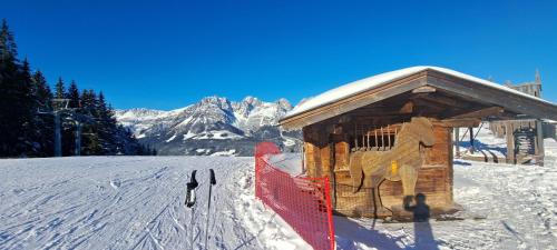 L'établissement Das Kaiserwohl Chalet en hiver