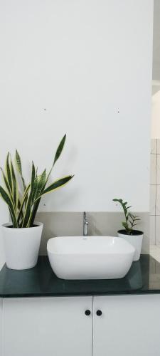 a bathroom sink with two potted plants on a counter at Little home apartment in Kozhikode