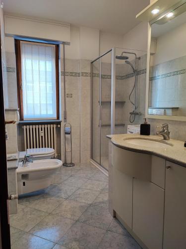 a bathroom with a toilet and a sink and a shower at IL GIRASOLE in Tirano