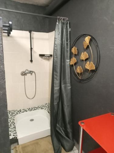 une salle de bain avec une douche avec un rideau de douche dans l'établissement Eco domaine 12hectares meublé pour 6 personnes, à Plouray