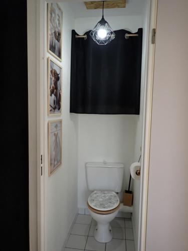 La salle de bains est pourvue de toilettes et d'un rideau noir. dans l'établissement Appart Mémorial 2-4pers, à Caen