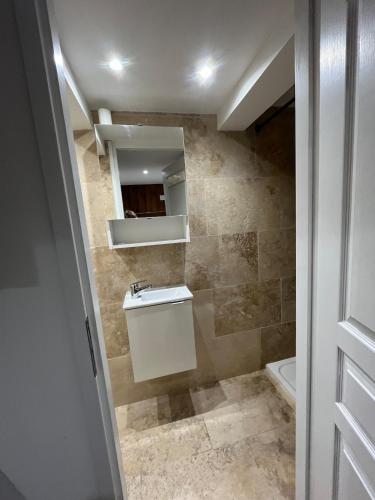 une salle de bain avec un lavabo et un miroir dans l'établissement Aux pieds des pistes la Foux d allos, à La Foux d'Allos