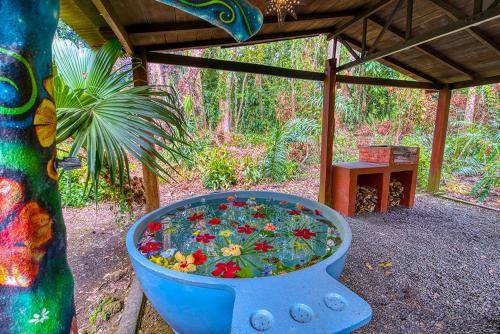 a flower garden in a blue pot next to a tree at Tree House Beachfront Lodge in Puerto Viejo