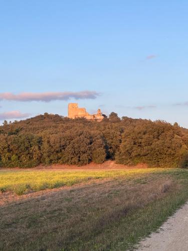 a castle on top of a hill with a dirt road at La Petite Rive - Les Tilleuls in Velleron