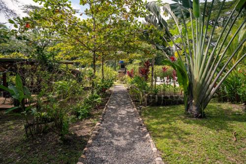 Ein Garten an der Unterkunft Feeling Trees Jungle Lodge