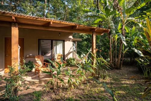 Ein Garten an der Unterkunft Feeling Trees Jungle Lodge