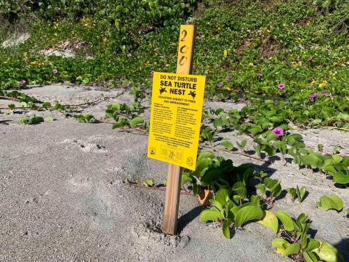 a yellow sign in the middle of a garden at Quaint Coastal Pool Home on Florida's Space Coast in Melbourne