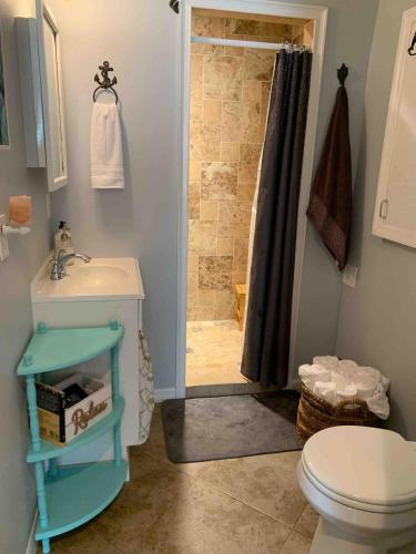 a bathroom with a shower with a toilet and a sink at Quaint Coastal Pool Home on Florida's Space Coast in Melbourne
